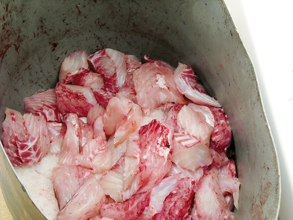 Caring for the catch means it’ll taste better — simple. // Photo credit: Terry Williams King