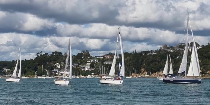 The start of the 2026 Solo Trans-Tasman Yacht Challenge. // Photo credit: Insight Media The start of the 2026 Solo Trans-Tasman Yacht Challenge. // Photo credit: Insight Media