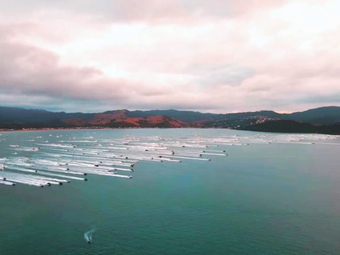2027 CMP Billfish Classic