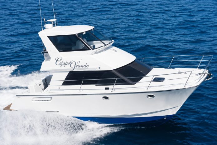 Cat Concepts NZ38 Cat Concepts NZ38