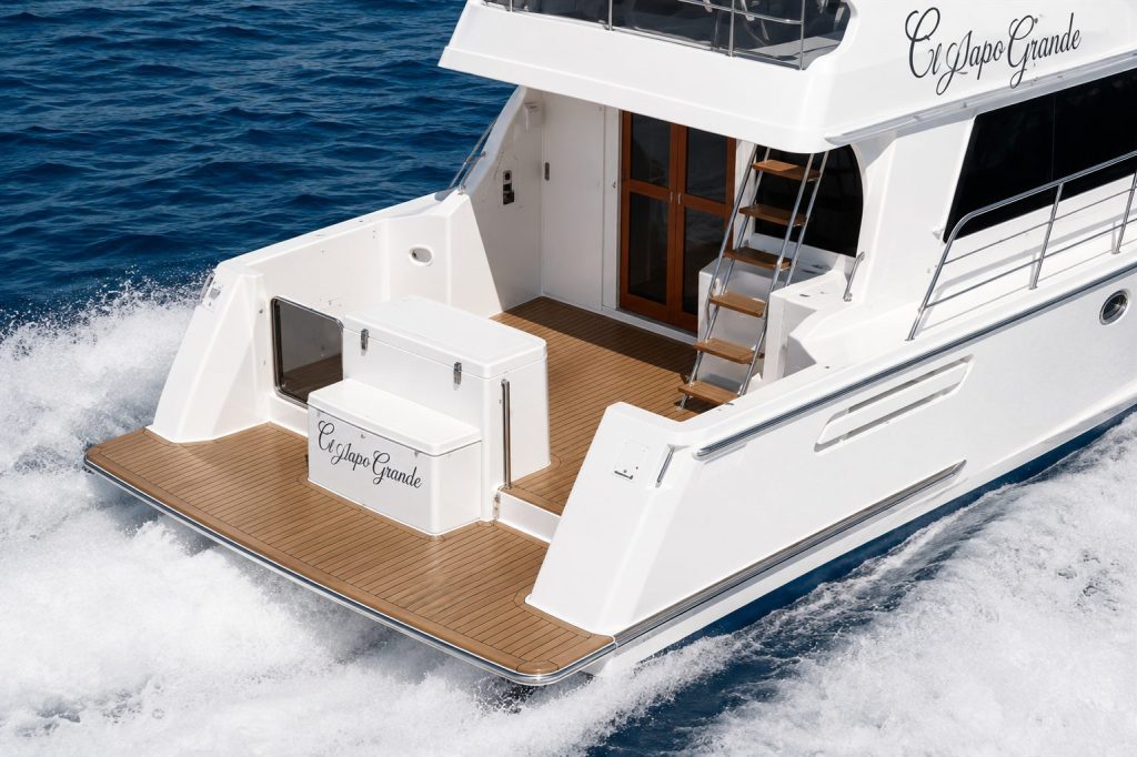 Cat Concepts NZ38