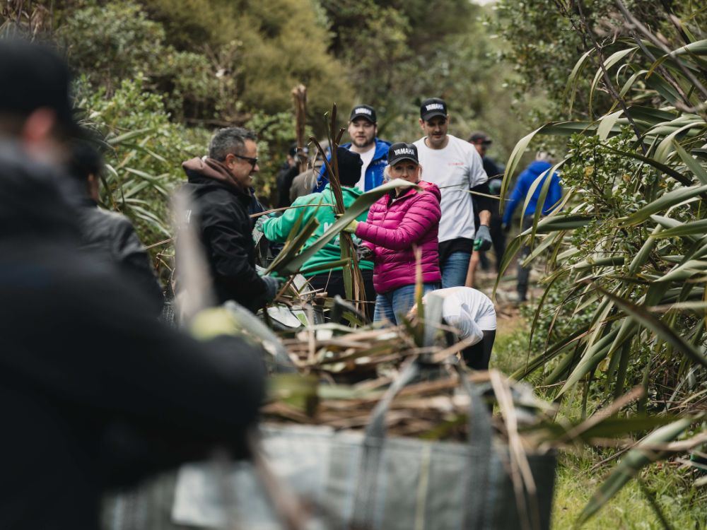 Yamaha volunteers roll up sleeves for Rotoroa Island Conservation Day. // Photo: Supplied