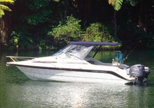 Tristram Millennium 691 Tristram Millennium 691