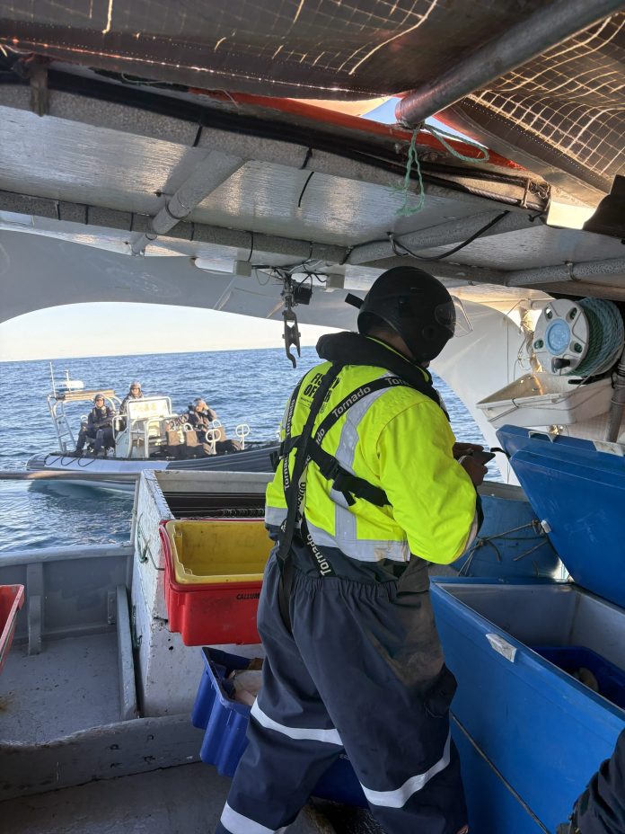 A Fisheries New Zealand officer conducts a vessel inspection under the watchful eye of crew aboard one of HMNZS Taupo’s RHIBs