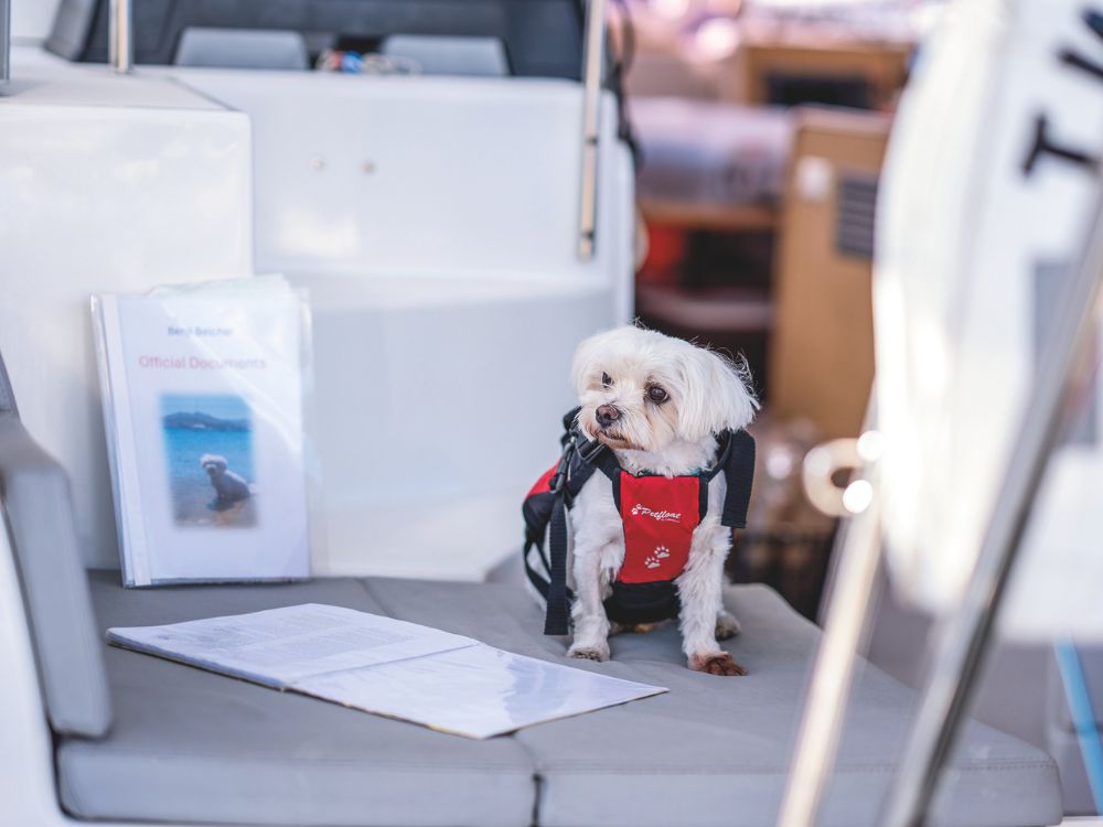 Benji wearing his safety gear. // Photo credit: Theresa Nicholson
