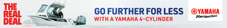Yamaha Mid Power