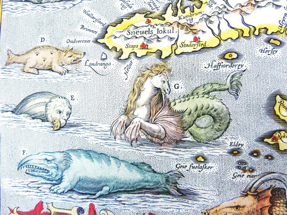 Scary sea monsters. // Supplied