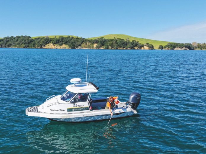 Olivia Christie doing baited underwater survey in Rangitoto and Motutapu HPA. DOC. // Photo credit: Credit Shelley Ogle.