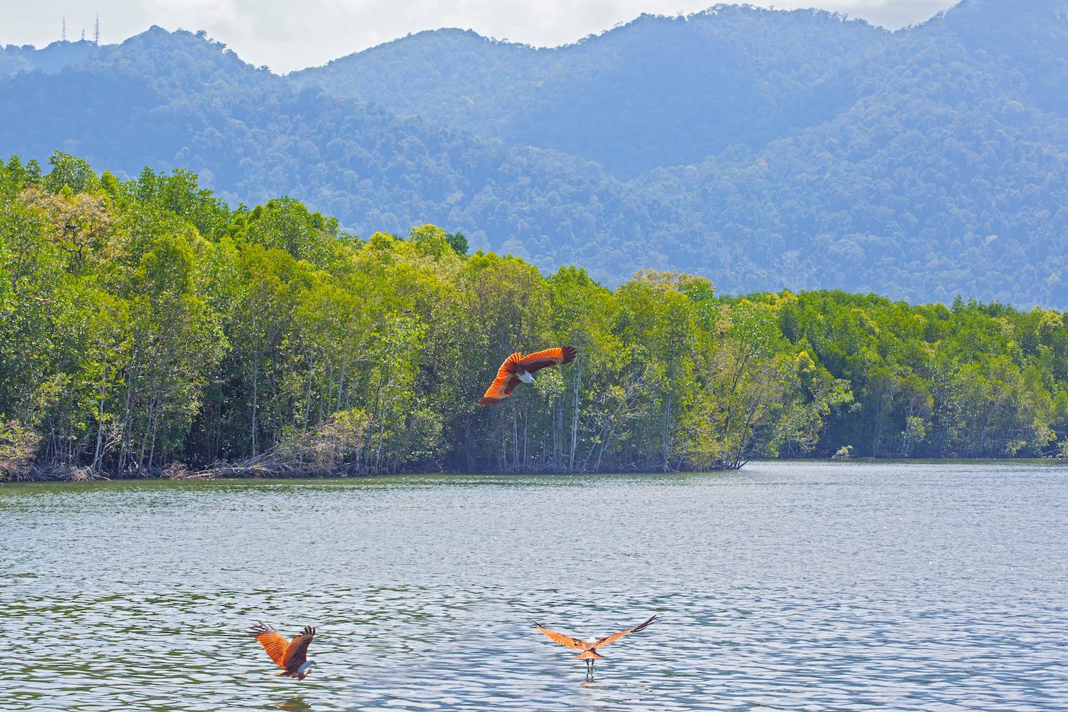 Maritimo Boating Destinations | Three Days in Langkawi