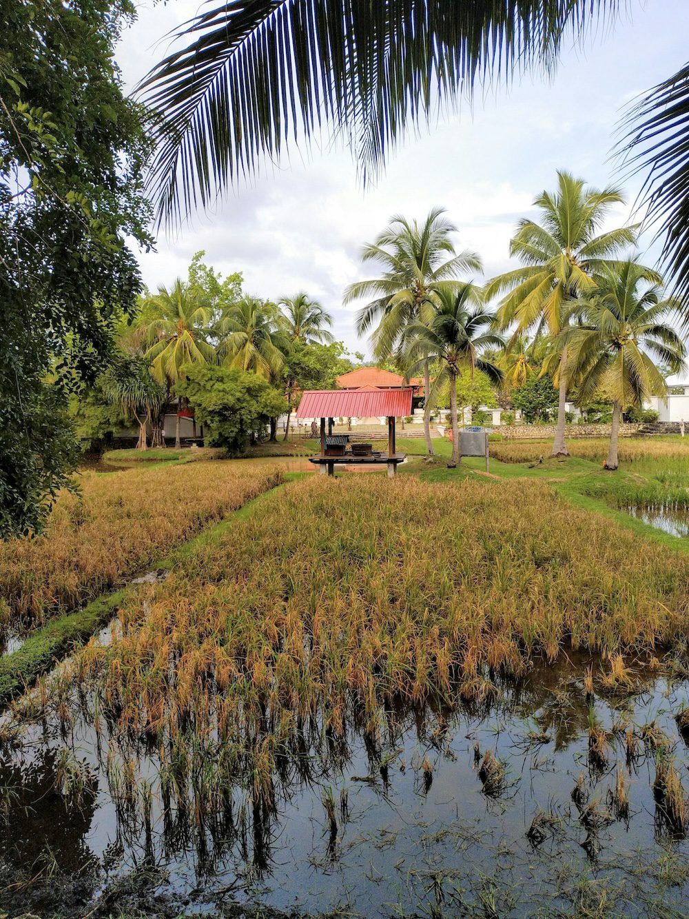 Maritimo Boating Destinations | Three Days in Langkawi