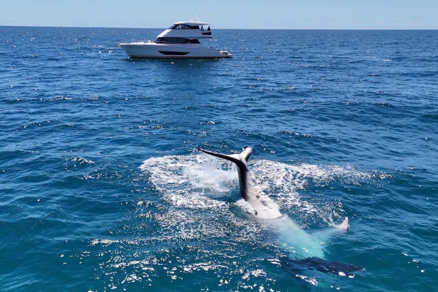 Maritimo Owner’s Australian Cruising Experience