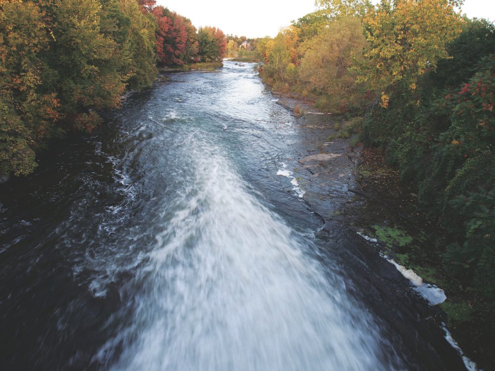 A section of wild river, part of the Rideau Canal system. // Photo credit: Bruno Cianci