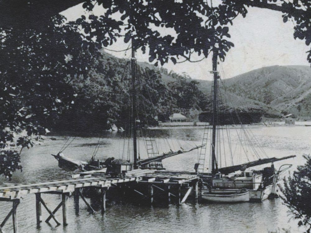 Leigh Harbour offered a safe deepwater anchorage and a port for the coastal trade.