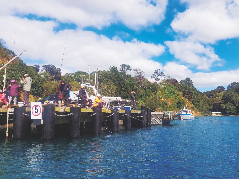 Recreational fishers on Leigh wharf. // Photo credit: Alex Stone