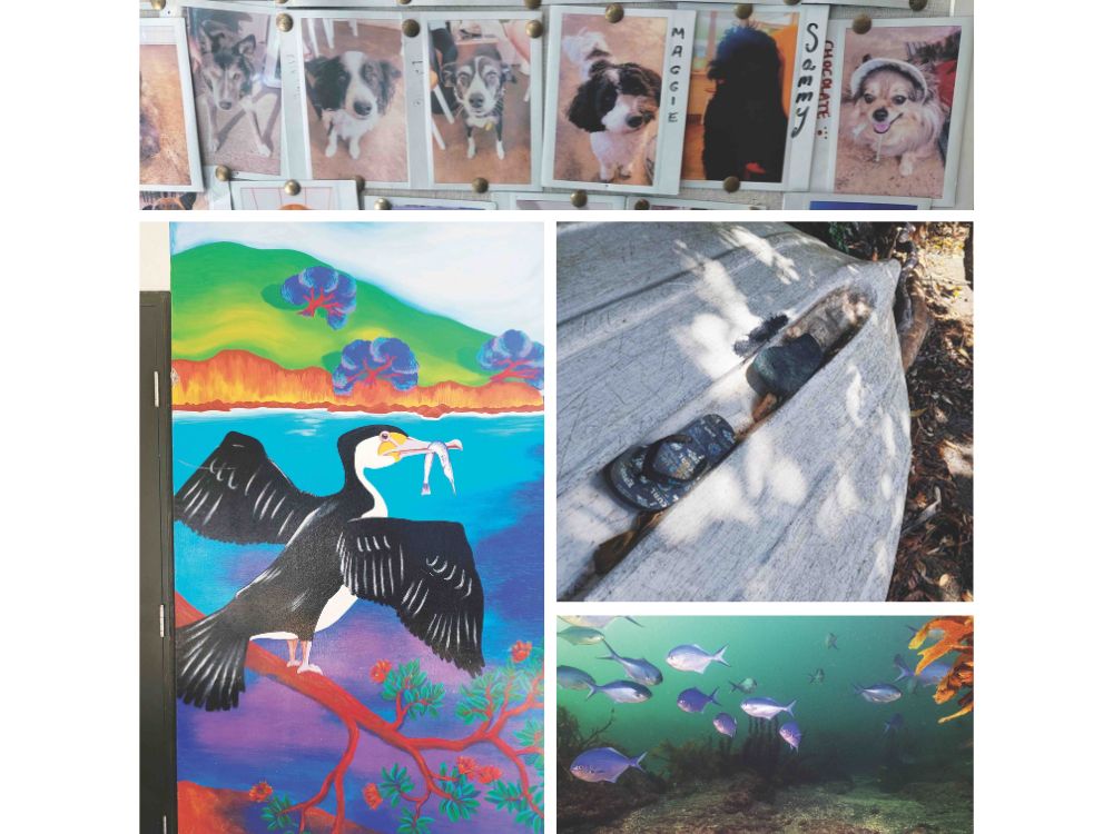 Dogs on a wall, jandals on a boat, maomao at the Marine Reserve, and more dunny art, this time a shag with humanoid feet. // Photo credit: Alex Stone