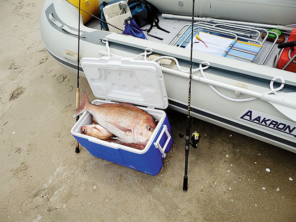 A successful session in the shallows, with snapper destined for the table after a day fishing close to the coast. // Photo credit: Terry Williams King