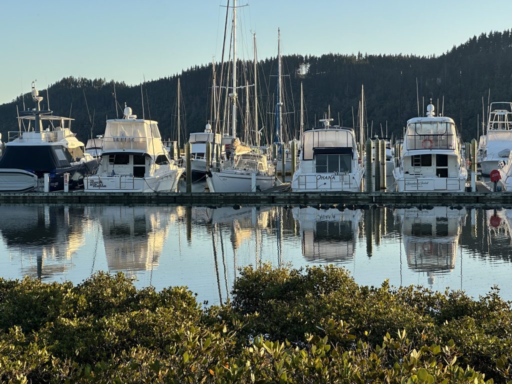 Whangamata Marina. // Photo credit: Zoe Hawkins