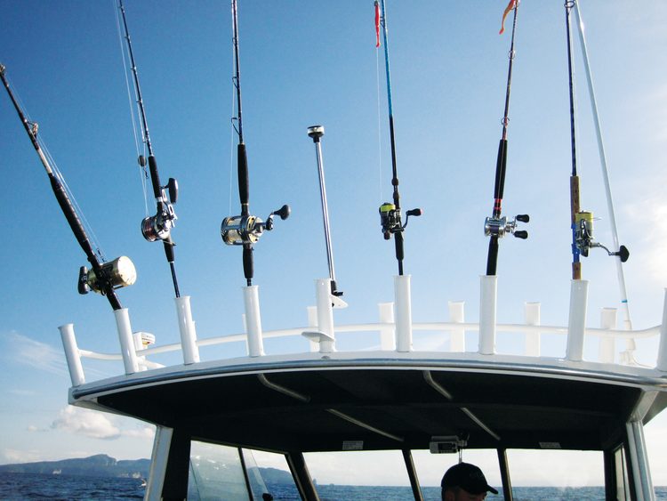 Rocket launchers can still be a viable option for long rods if the holders are spread far enough apart.