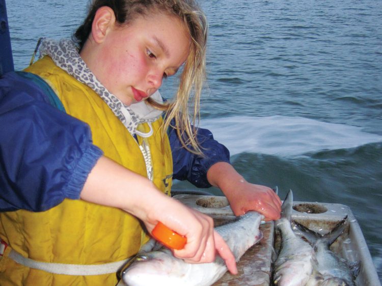 Scaling is best done at sea.