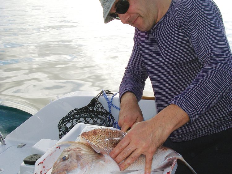 This bait-board ticks a lot of boxes, but a separate board laid on top would make skinning so much easier.