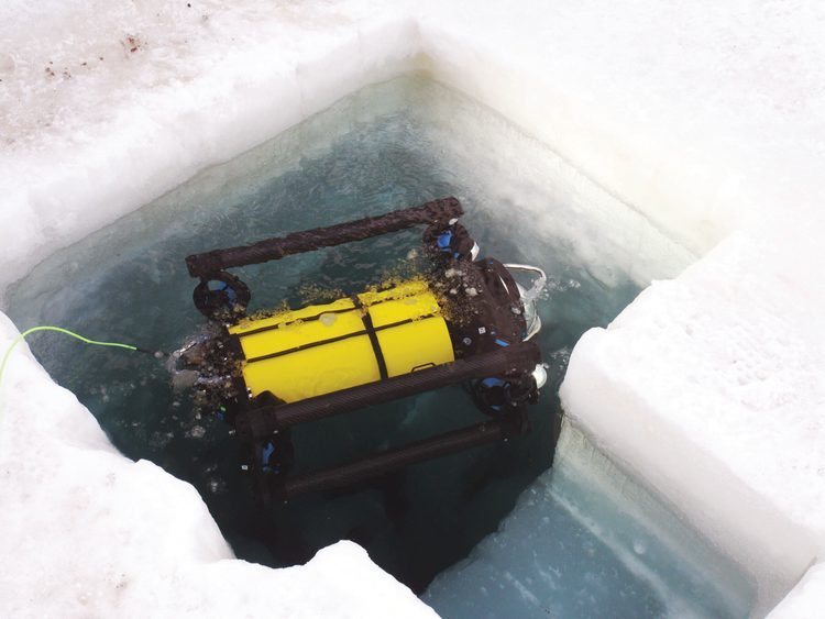 boxfish-rov-antarctica-2019-1110404.
