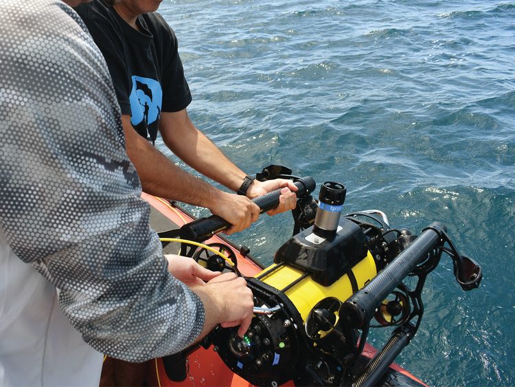 boxfish-rov-CADIC-CONICET-training-0406.