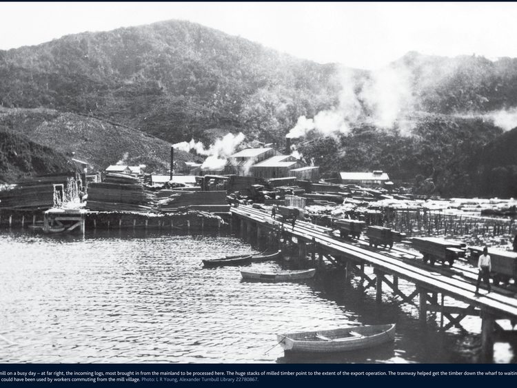 Whangaparapara historical timber mill big and busy.