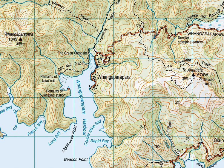 Topomap AY34_Whangaparapara detail.