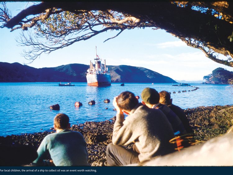 Whangaparapara ship collecting whale oil.