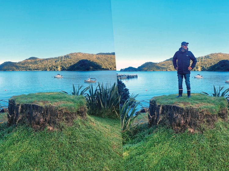 Whangaparapara tree stump would blocked the view; Tony blocking the view.
