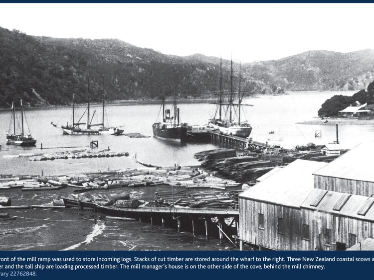 Whangaparapara historical timber mill and ships.
