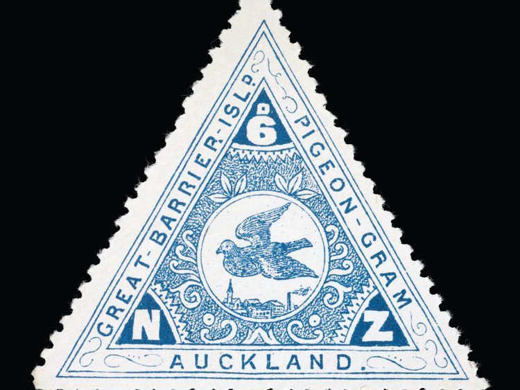 MA_I149530_TePapa_Great-Barrier-Pigeongram_full.