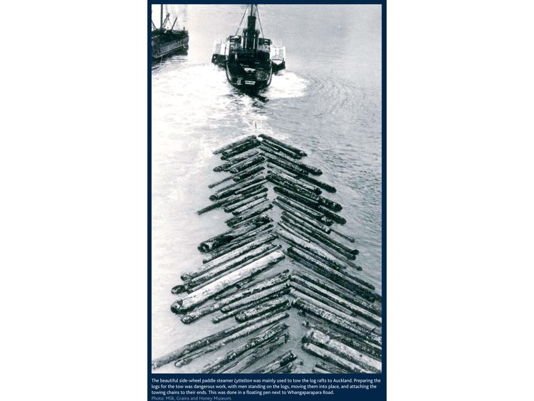 Whangaparapara steamer Lyttleton towing logs.