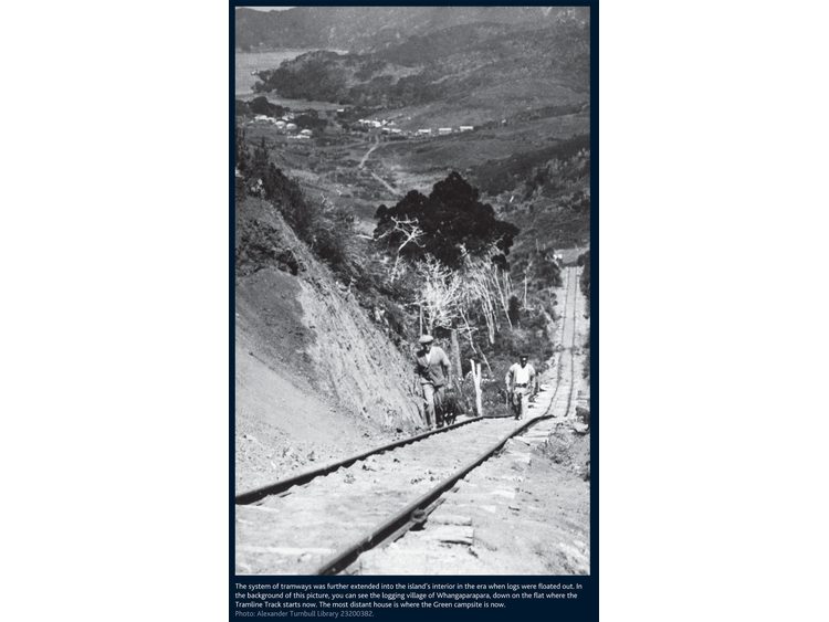 Whangaparapara historical tramway and village.