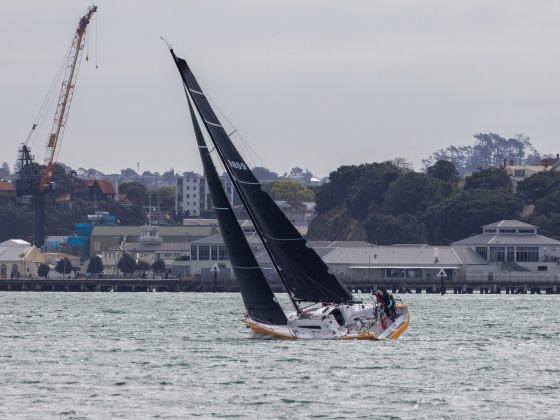 Fulcrum near the finish of the 2026 Roy McDell Memorial Cup.