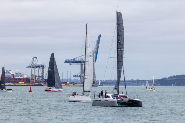 Levity and Bird on the Wing (behind) and in the background Carrera 3 and Wired at the start of the 2026 Roy McDell Memorial Cup.