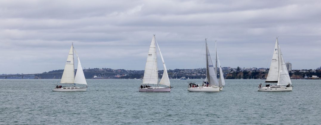 The fleet at the start of the 2026 Roy McDell Memorial Cup.