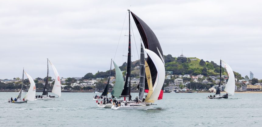 The fleet at the start of the 2026 Roy McDell Memorial Cup.