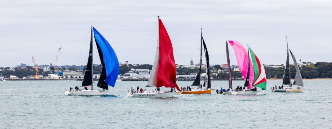 The fleet at the start of the 2026 Roy McDell Memorial Cup.