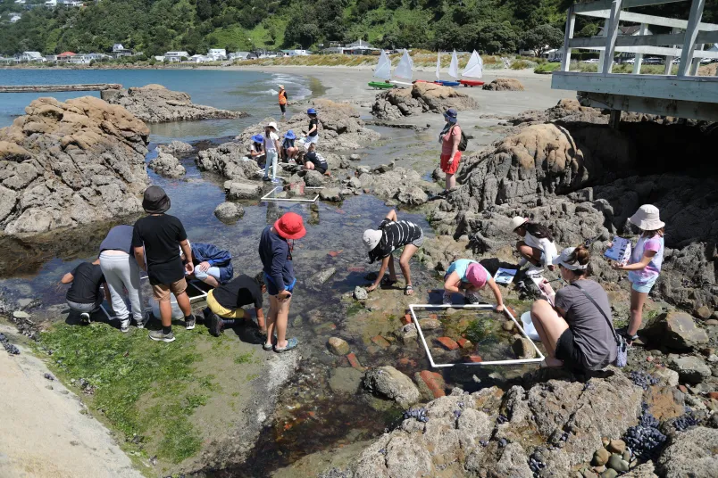 Yachting New Zealand school engagement programme RŪNĀ claims international award for environmental education