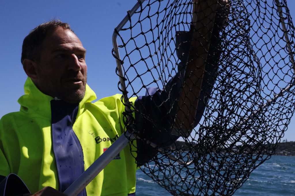 We caught a piece of 4x2 in our fishing net before the racing got underway. // Photo credit: Kirsten Thomas