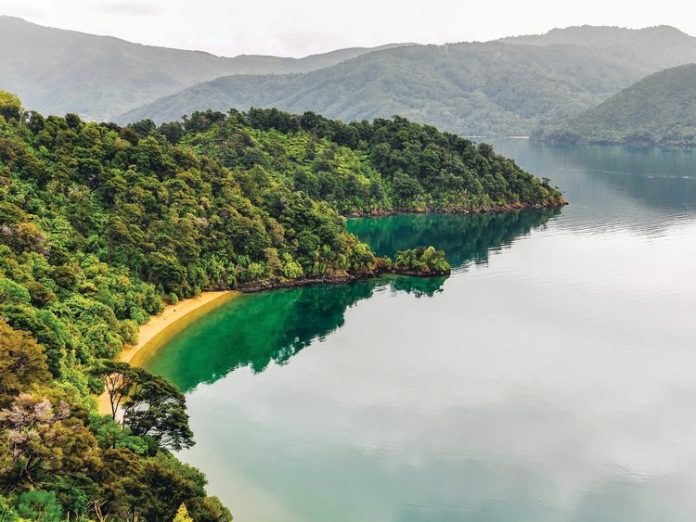 But by the time they are visible in a pristine location like Marlborough Sounds, it’s too late to go back. Photo/istock.com/kovgabor79