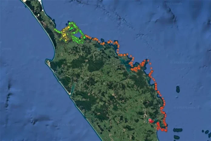 Tracking data of a green sea turtle. // Image courtesy Department of Conservation